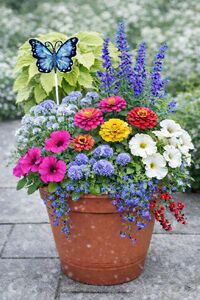 Thu July 30 Flying Flower Cafe 6 pm at Timberyard Brewing Company  260730181